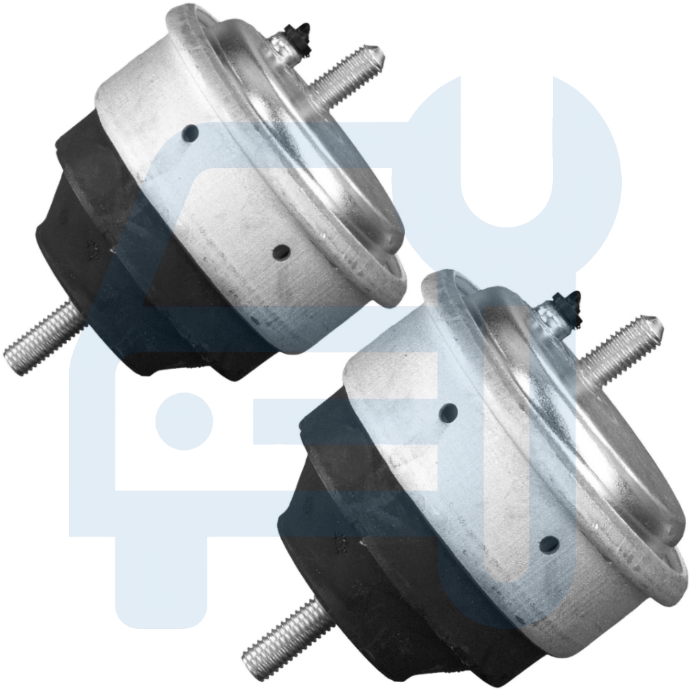 BMW 3 E46 330D 330Xd 330Cd M57 D30 Berline Break Coupe Silent Bloc Moteur Avant