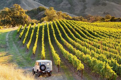 Venelles (13770) : Guide complet sur le village provençal entre patrimoine, nature et vie locale